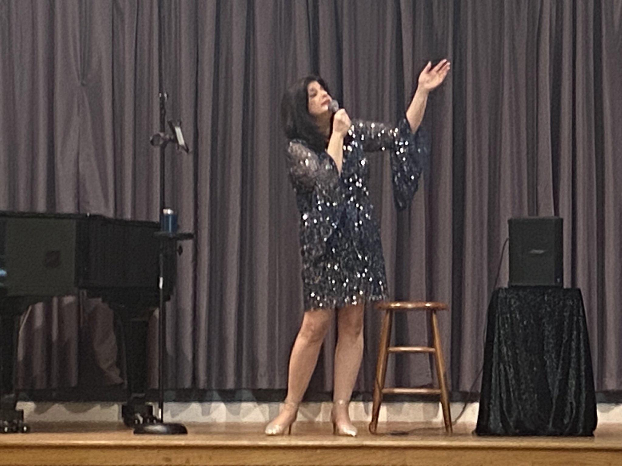 Pamela Cohen Entertainer Palm Beaches .